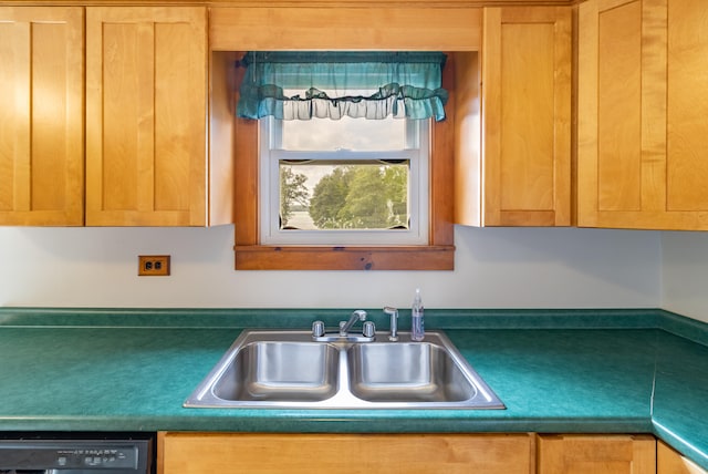 kitchen featuring black dishwasher and sink