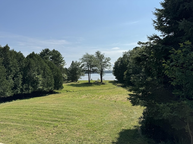 view of yard with a water view