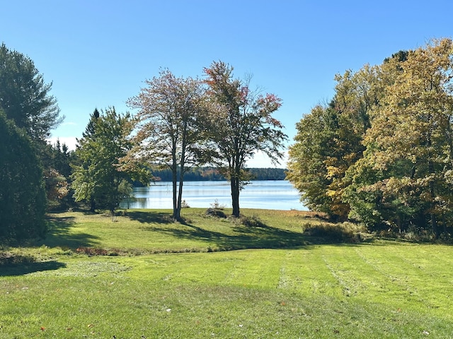 view of yard with a water view