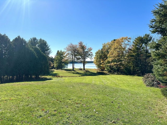 view of yard featuring a water view