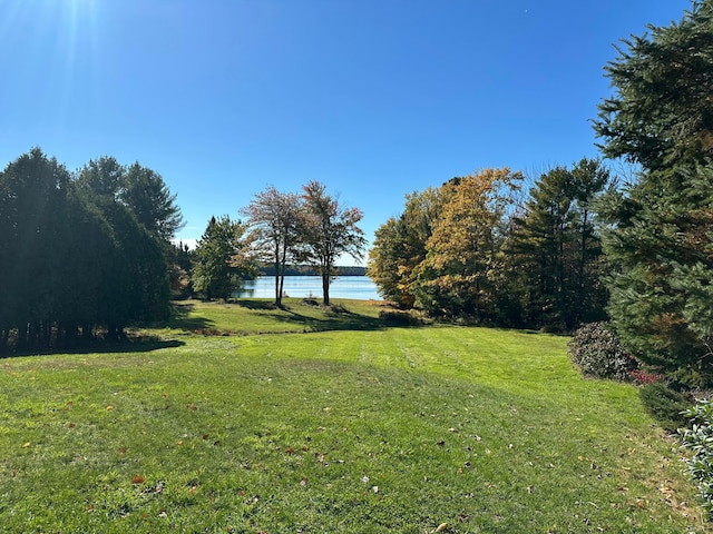 view of yard featuring a water view