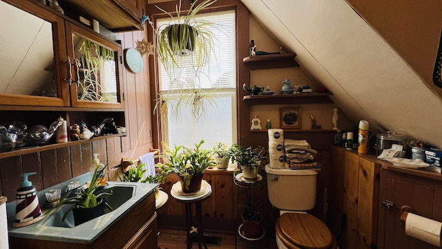 bar featuring vaulted ceiling and a sink