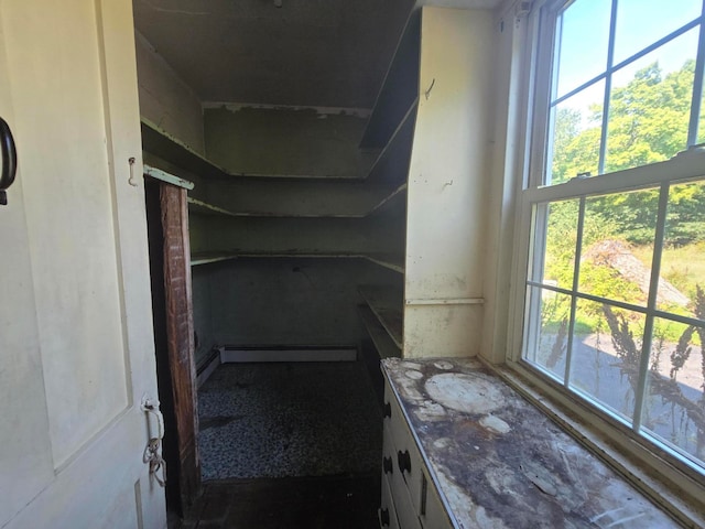 bathroom featuring vanity and baseboard heating