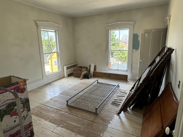 interior space featuring radiator, light hardwood / wood-style floors, and a wealth of natural light