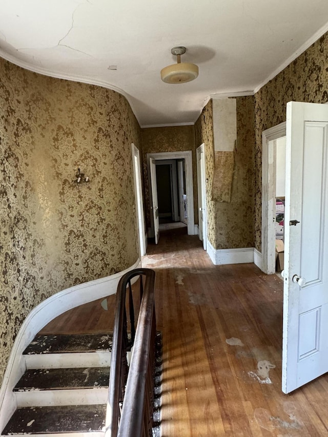 corridor featuring ornamental molding and hardwood / wood-style flooring