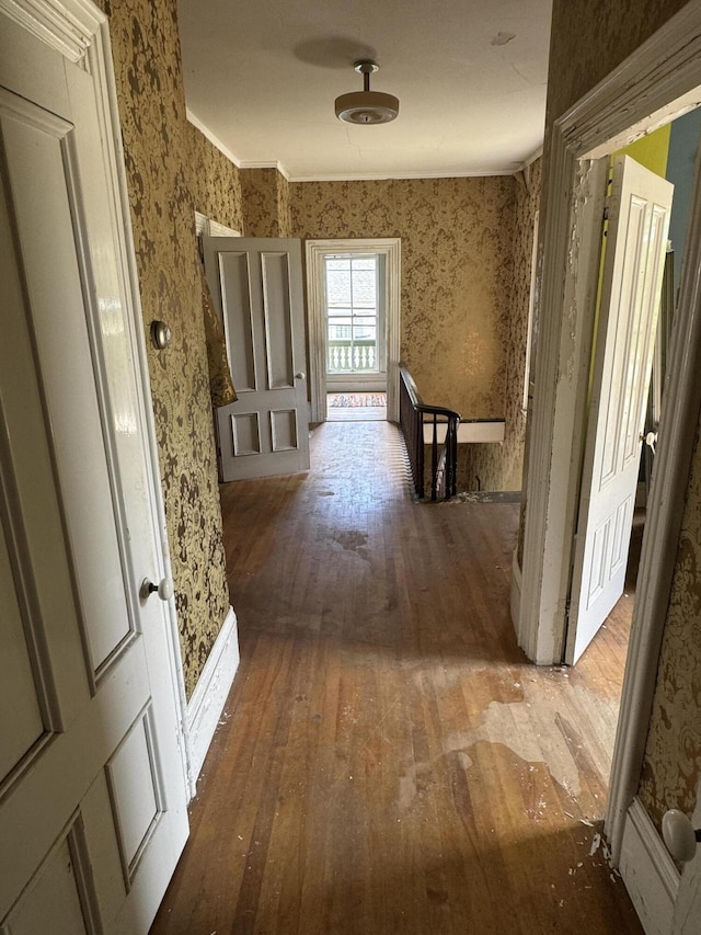 hall featuring hardwood / wood-style flooring