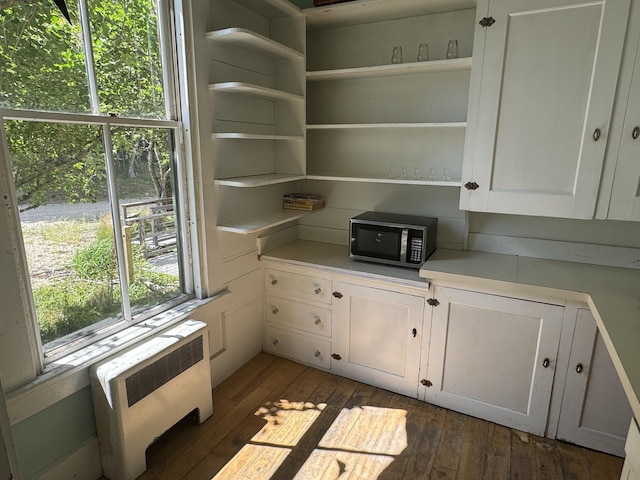 pantry featuring radiator