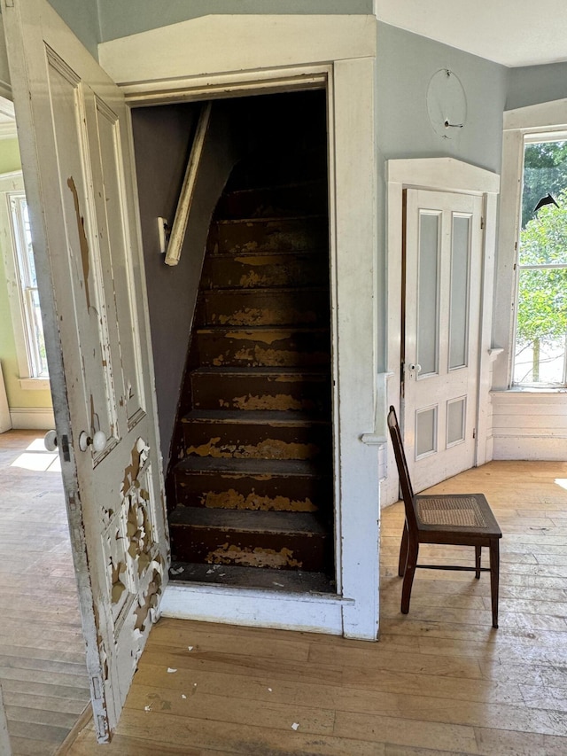 stairway with hardwood / wood-style flooring