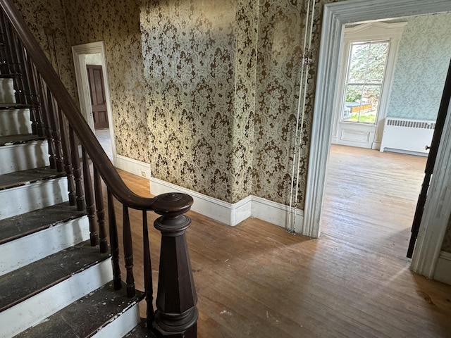 staircase with wood-type flooring and radiator