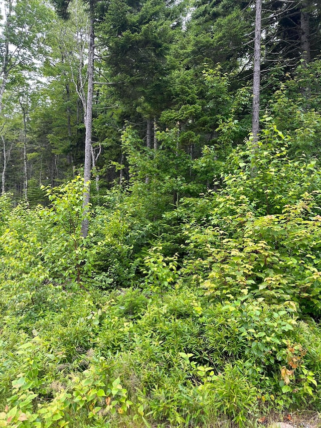 LOT44 Estates Rd, Steuben ME, 04680 land for sale