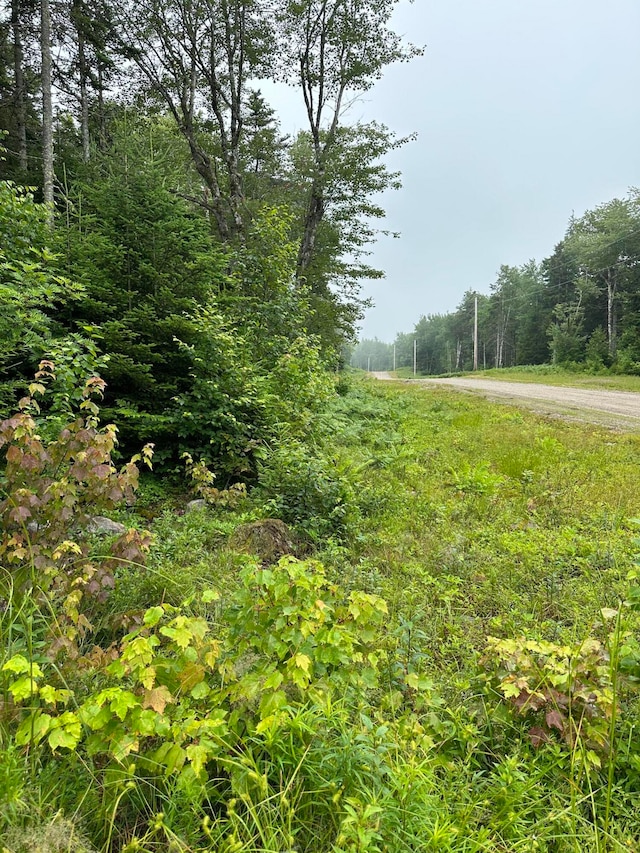 Listing photo 2 for LOT44 Estates Rd, Steuben ME 04680