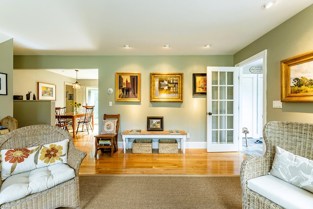 living room featuring hardwood / wood-style flooring