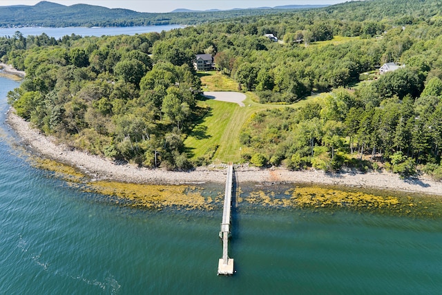 drone / aerial view with a water and mountain view