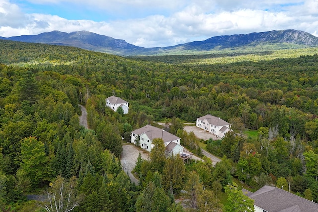 bird's eye view with a mountain view