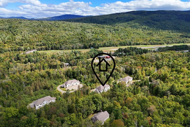 drone / aerial view featuring a mountain view