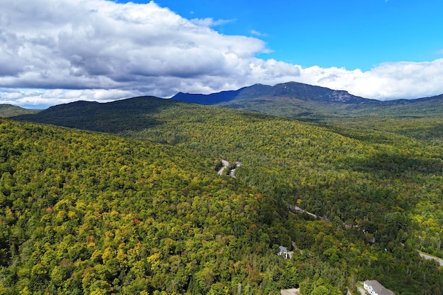 view of mountain feature