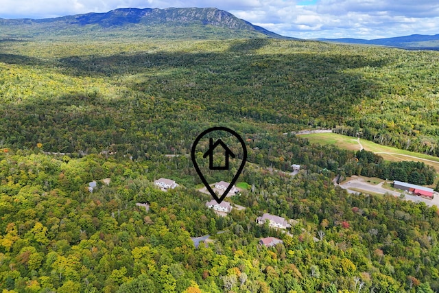 birds eye view of property featuring a mountain view