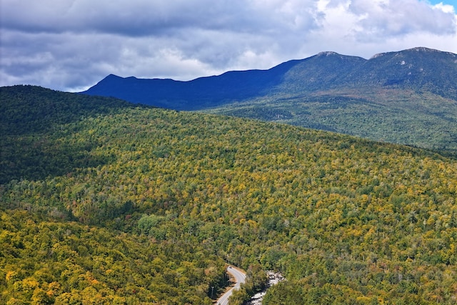 view of mountain feature