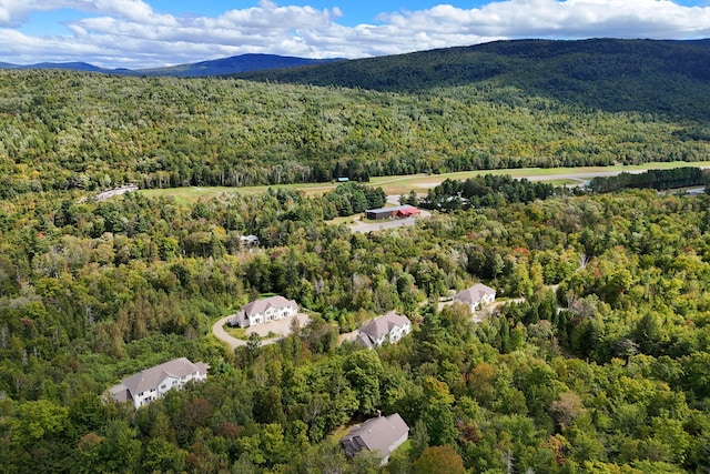 drone / aerial view with a mountain view