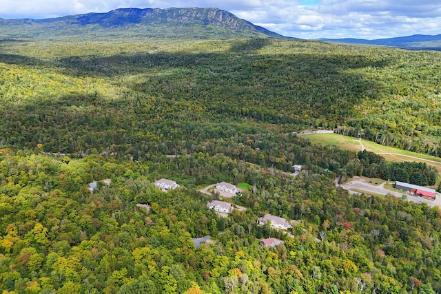 bird's eye view featuring a mountain view