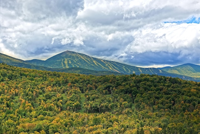 view of mountain feature