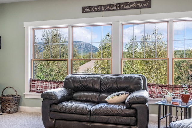 living room featuring a mountain view and carpet floors