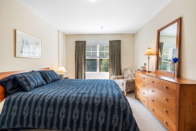 carpeted bedroom with multiple windows