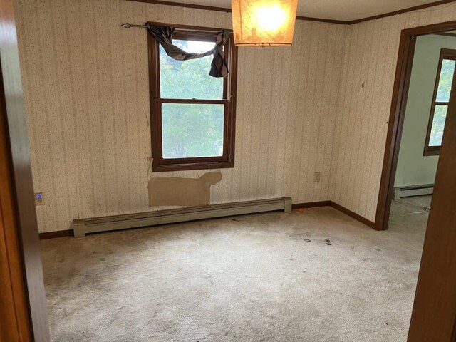 spare room featuring a healthy amount of sunlight, carpet flooring, and baseboard heating