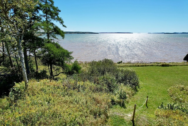 view of water feature