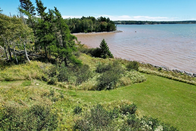 property view of water