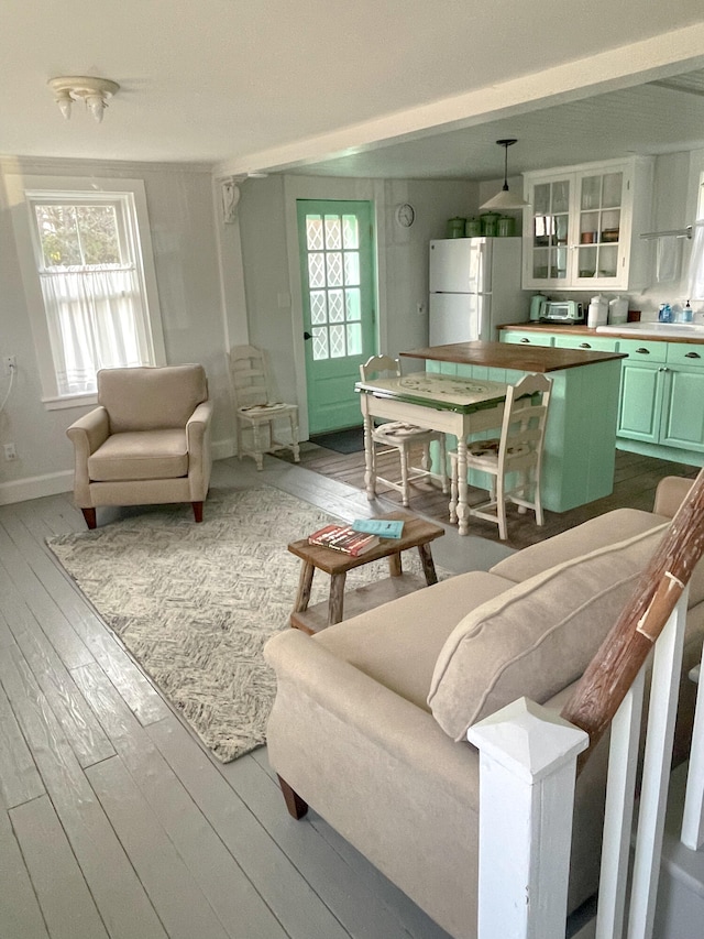 living room featuring plenty of natural light and hardwood / wood-style floors