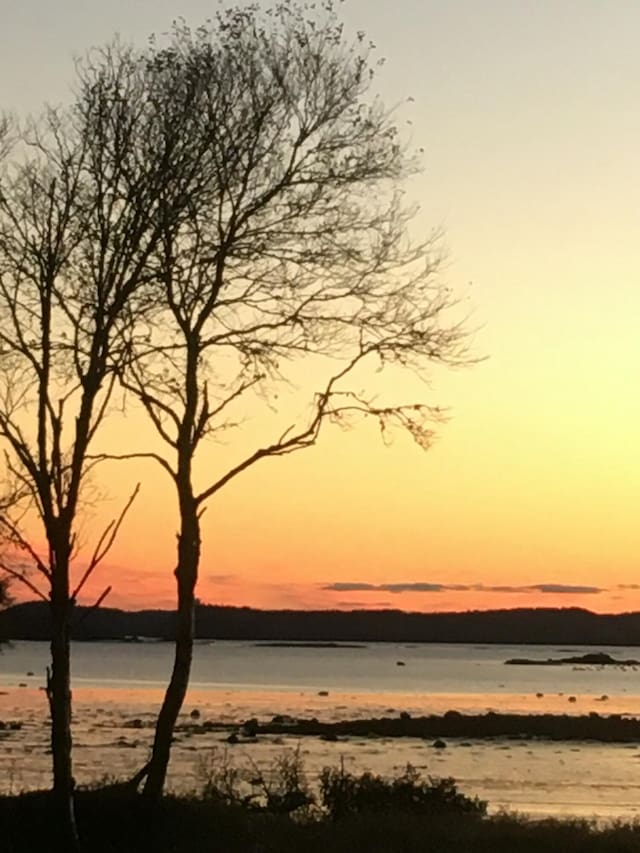 nature at dusk with a water view