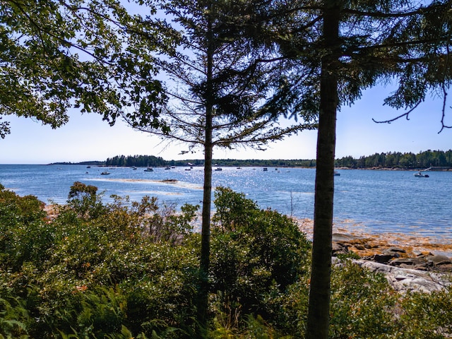 130 Harrington Cove Rd, Saint George, ME 04859 - water view