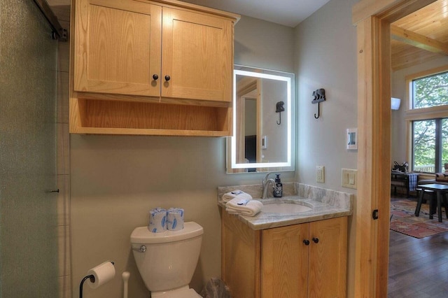 bathroom with vanity, toilet, hardwood / wood-style floors, and an enclosed shower