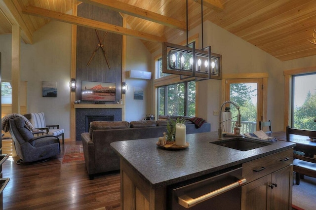 kitchen featuring dishwasher, a wealth of natural light, dark hardwood / wood-style floors, and sink