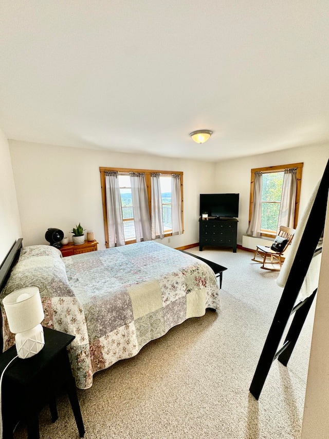 carpeted bedroom featuring multiple windows