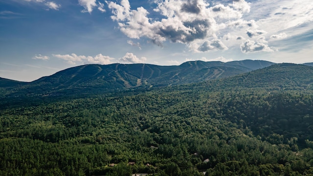 property view of mountains with a forest view