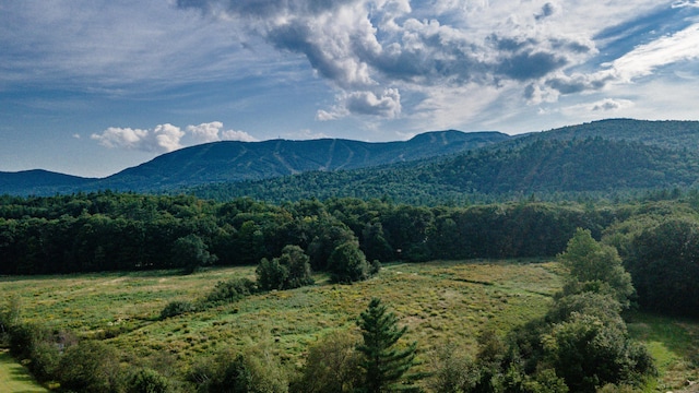 mountain view with a wooded view