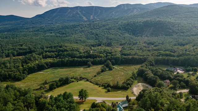 drone / aerial view with a mountain view