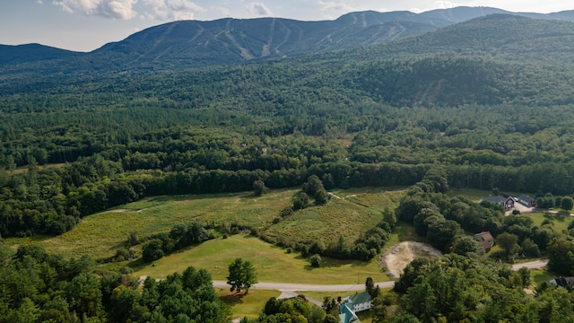 bird's eye view featuring a mountain view and a forest view