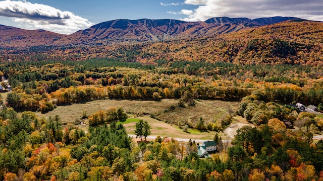 property view of mountains featuring a view of trees