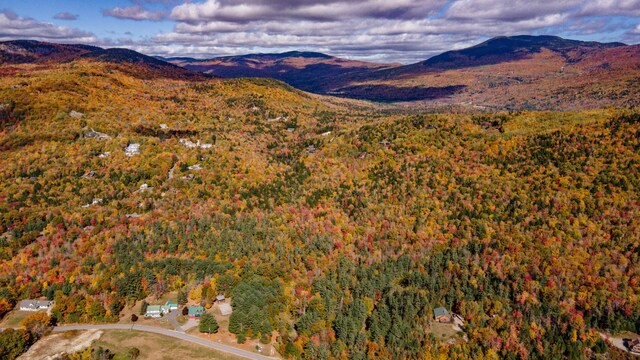 view of mountain feature featuring a wooded view