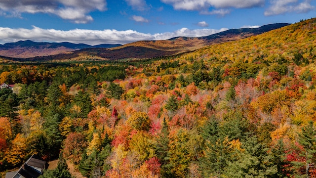 mountain view featuring a forest view