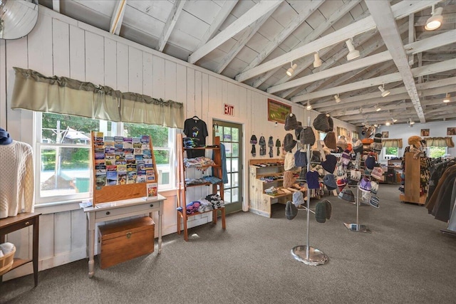 misc room with lofted ceiling and carpet flooring