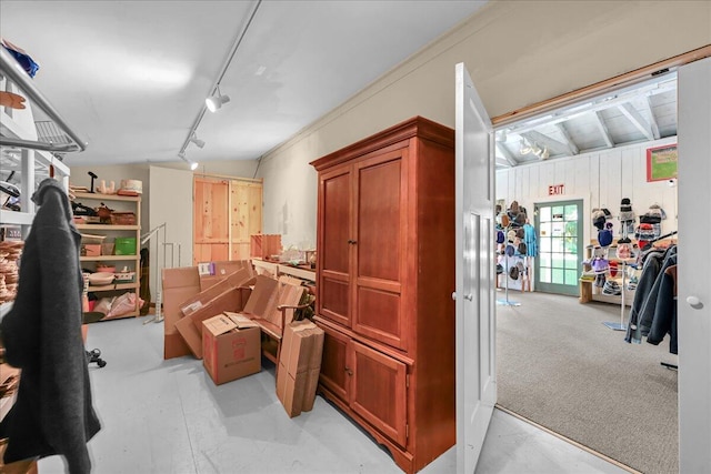 spacious closet with light carpet