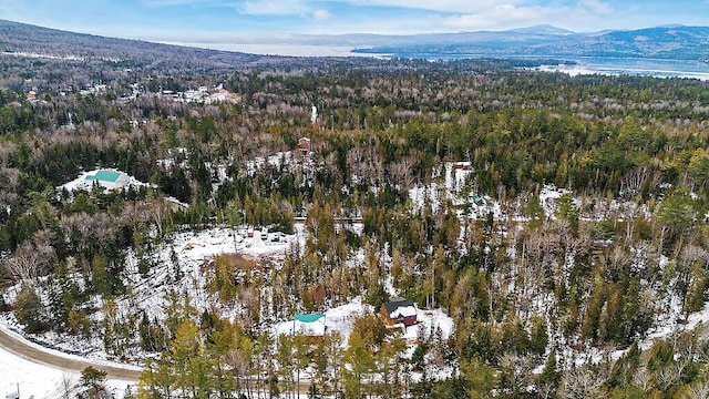 snowy aerial view featuring a mountain view