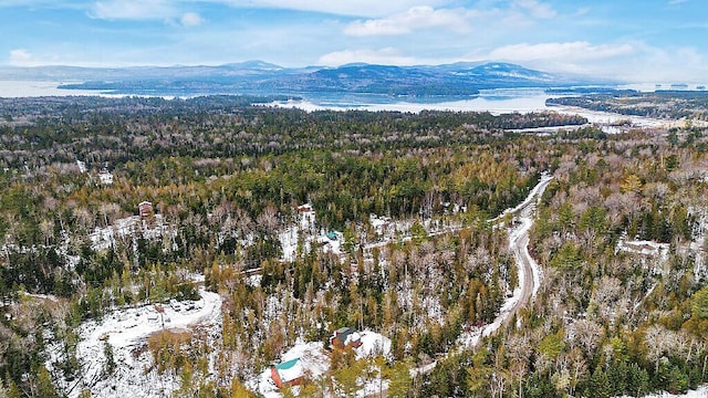 aerial view with a mountain view and a wooded view