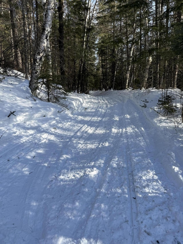 view of road with a view of trees