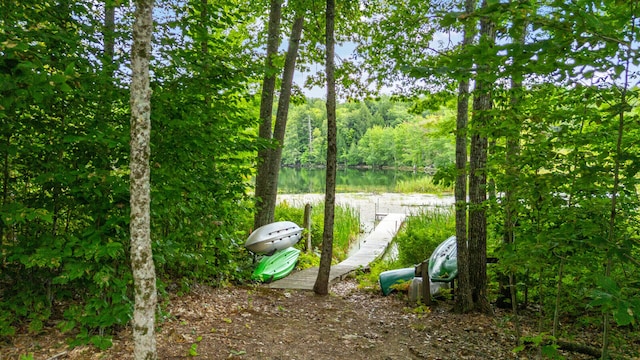 water view with a dock