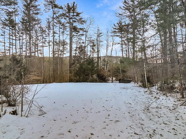 view of snow covered land